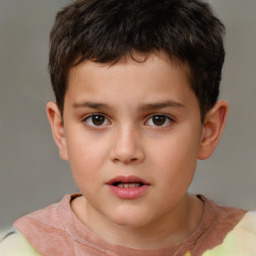 Neutral white child male with short  brown hair and brown eyes