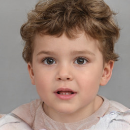 Neutral white child male with short  brown hair and brown eyes