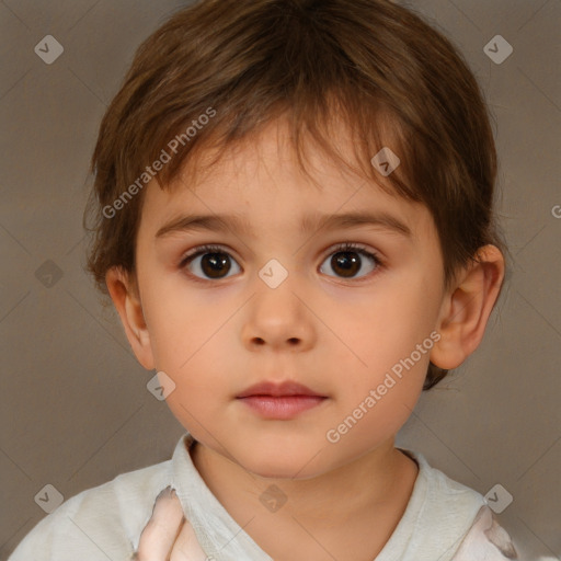 Neutral white child male with short  brown hair and brown eyes