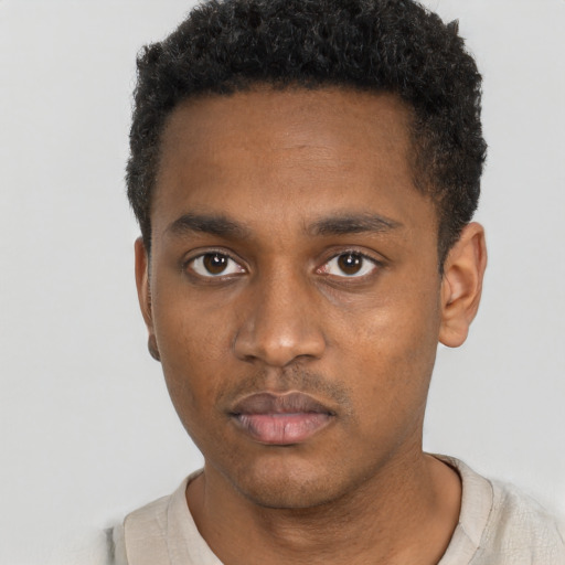 Neutral black young-adult male with short  black hair and brown eyes