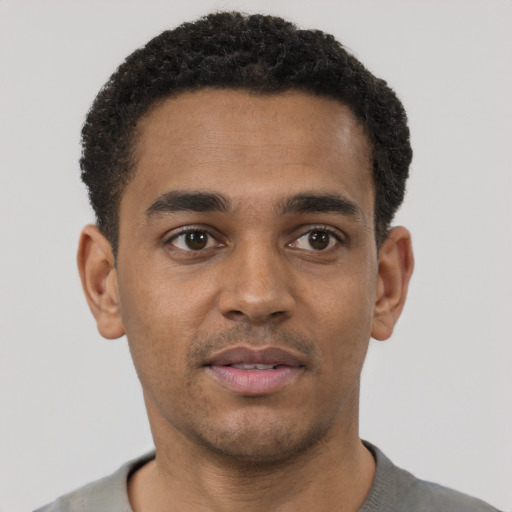 Joyful black young-adult male with short  black hair and brown eyes