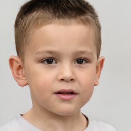 Neutral white child male with short  brown hair and brown eyes