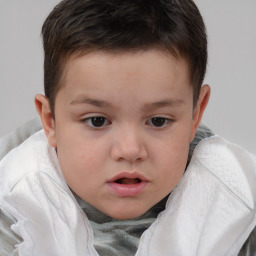 Neutral white child male with short  brown hair and brown eyes