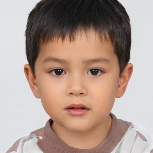 Neutral asian child male with short  brown hair and brown eyes