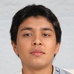 Neutral asian young-adult male with short  brown hair and brown eyes