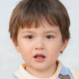 Neutral white child male with short  brown hair and brown eyes