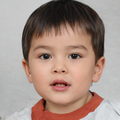 Neutral white child male with short  brown hair and brown eyes