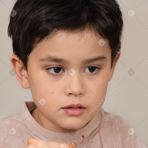 Neutral white child male with short  brown hair and brown eyes