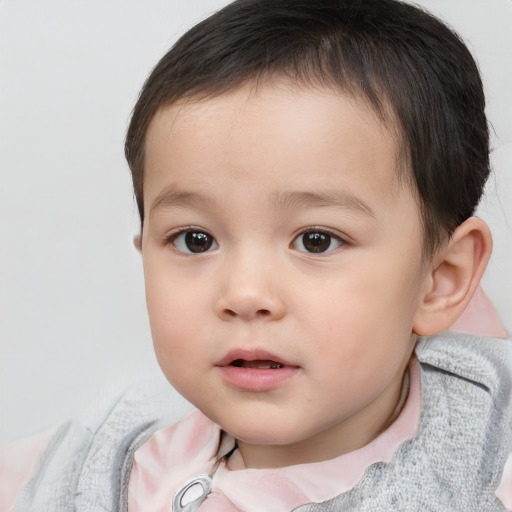 Neutral white child male with short  brown hair and brown eyes