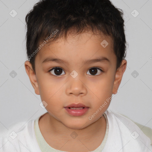 Neutral white child male with short  brown hair and brown eyes