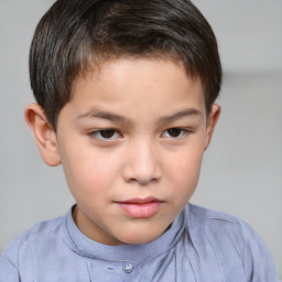 Neutral white child male with short  brown hair and brown eyes