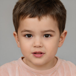 Neutral white child male with short  brown hair and brown eyes