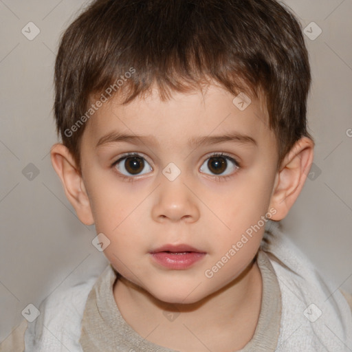 Neutral white child male with short  brown hair and brown eyes