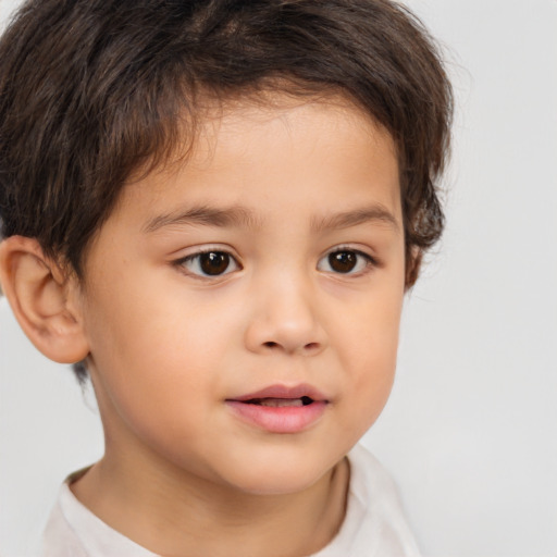 Neutral white child male with short  brown hair and brown eyes