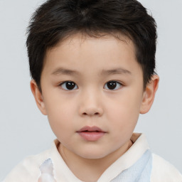 Neutral white child male with short  brown hair and brown eyes