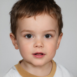 Neutral white child male with short  brown hair and brown eyes