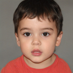 Neutral white child male with short  brown hair and brown eyes
