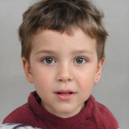 Neutral white child male with short  brown hair and brown eyes