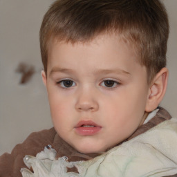 Neutral white child male with short  brown hair and brown eyes