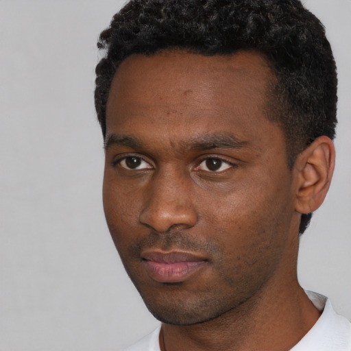 Neutral black young-adult male with short  black hair and brown eyes