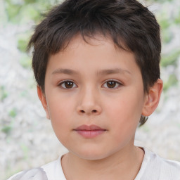 Neutral white child male with short  brown hair and brown eyes