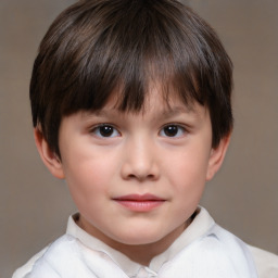 Neutral white child male with short  brown hair and brown eyes