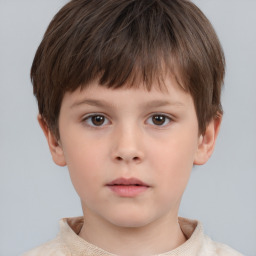 Neutral white child male with short  brown hair and brown eyes