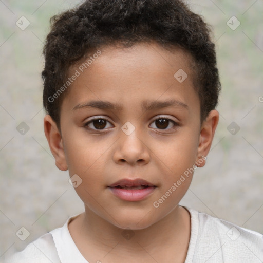 Neutral white child male with short  brown hair and brown eyes