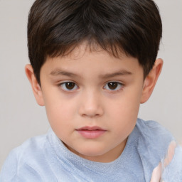 Neutral white child female with short  brown hair and brown eyes