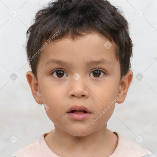 Neutral white child male with short  brown hair and brown eyes