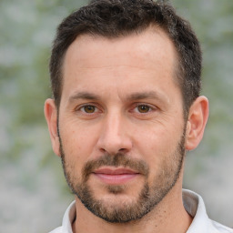 Joyful white adult male with short  brown hair and brown eyes